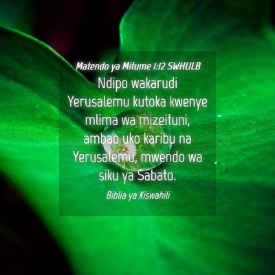 Picture 04 - Matendo ya Mitume 1:12 SWHULB - Ndipo wakarudi Yerusalemu kutoka kwenye mlima wa - Bible Verse Picture