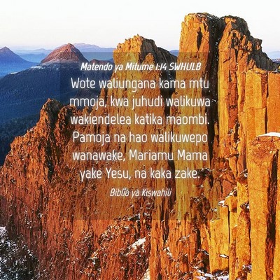 Picture 04 - Matendo ya Mitume 1:14 SWHULB - Wote waliungana kama mtu mmoja, kwa juhudi - Bible Verse Picture