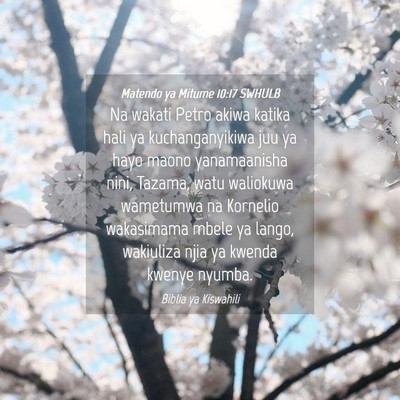 Picture 04 - Matendo ya Mitume 10:17 SWHULB - Na wakati Petro akiwa katika hali ya - Bible Verse Picture