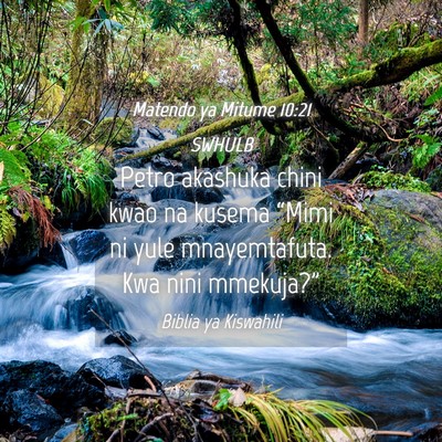Picture 04 - Matendo ya Mitume 10:21 SWHULB - Petro akashuka chini kwao na kusema “Mimi ni - Bible Verse Picture