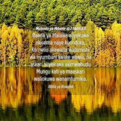 Picture 04 - Matendo ya Mitume 10:7 SWHULB - Baada ya Malaika aliyekuwa akisema naye kuondoka, - Bible Verse Picture