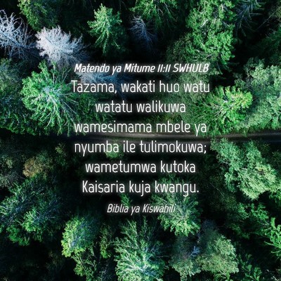 Picture 04 - Matendo ya Mitume 11:11 SWHULB - Tazama, wakati huo watu watatu walikuwa - Bible Verse Picture