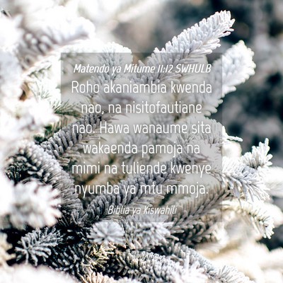 Picture 04 - Matendo ya Mitume 11:12 SWHULB - Roho akaniambia kwenda nao, na nisitofautiane - Bible Verse Picture