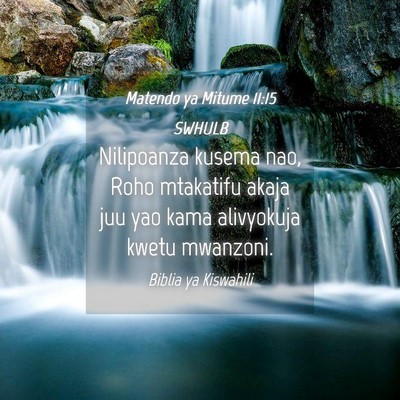 Picture 04 - Matendo ya Mitume 11:15 SWHULB - Nilipoanza kusema nao, Roho mtakatifu akaja juu - Bible Verse Picture