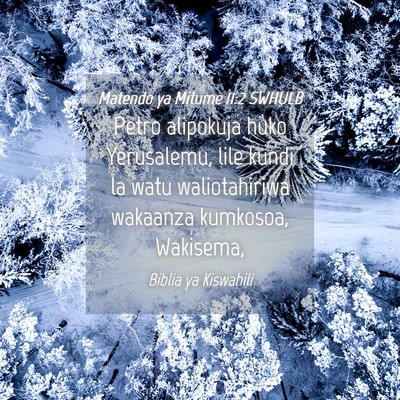 Picture 04 - Matendo ya Mitume 11:2 SWHULB - Petro alipokuja huko Yerusalemu, lile kundi la - Bible Verse Picture