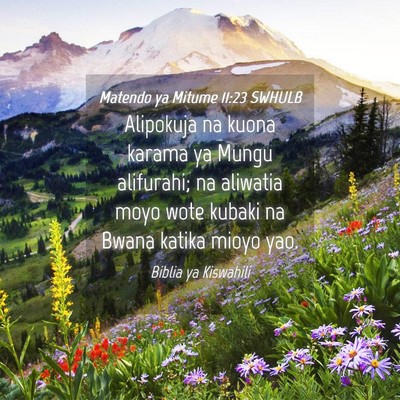 Picture 04 - Matendo ya Mitume 11:23 SWHULB - Alipokuja na kuona karama ya Mungu alifurahi; na - Bible Verse Picture