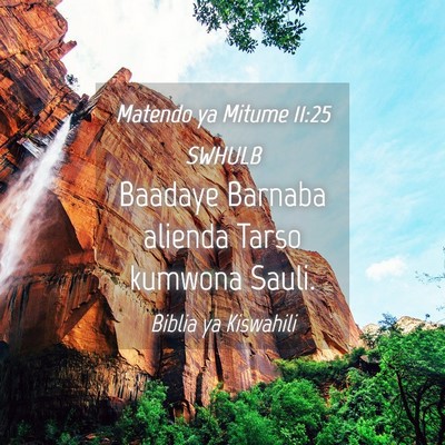 Picture 04 - Matendo ya Mitume 11:25 SWHULB - Baadaye Barnaba alienda Tarso kumwona - Bible Verse Picture