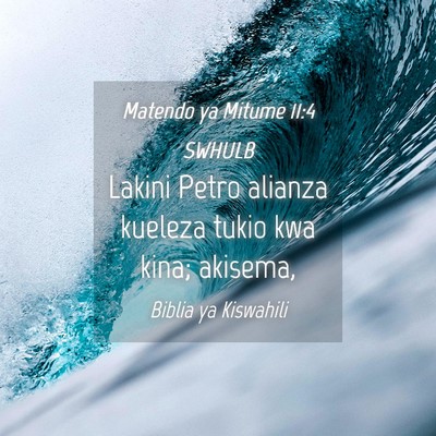 Picture 04 - Matendo ya Mitume 11:4 SWHULB - Lakini Petro alianza kueleza tukio kwa kina; - Bible Verse Picture
