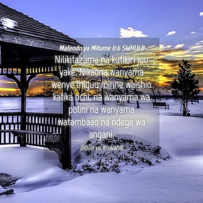 Picture 04 - Matendo ya Mitume 11:6 SWHULB - Nilikitazama na kufikiri juu yake. Nikaona - Bible Verse Picture