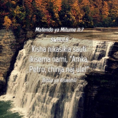 Picture 04 - Matendo ya Mitume 11:7 SWHULB - Kisha nikasikia sauti ikisema nami, “Amka, - Bible Verse Picture