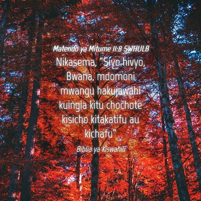 Picture 04 - Matendo ya Mitume 11:8 SWHULB - Nikasema, “Siyo hivyo, Bwana, mdomoni mwangu - Bible Verse Picture