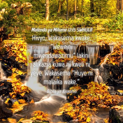 Picture 04 - Matendo ya Mitume 12:15 SWHULB - Hivyo, Wakasema kwake, “Wewe ni mwendawazimu” - Bible Verse Picture
