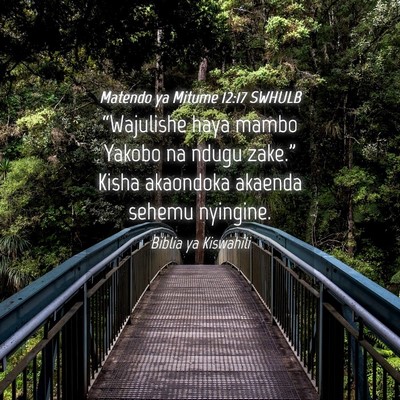 Picture 04 - Matendo ya Mitume 12:17 SWHULB - “Wajulishe haya mambo Yakobo na ndugu zake.” - Bible Verse Picture
