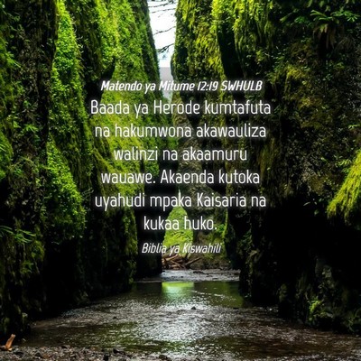 Picture 04 - Matendo ya Mitume 12:19 SWHULB - Baada ya Herode kumtafuta na hakumwona akawauliza - Bible Verse Picture
