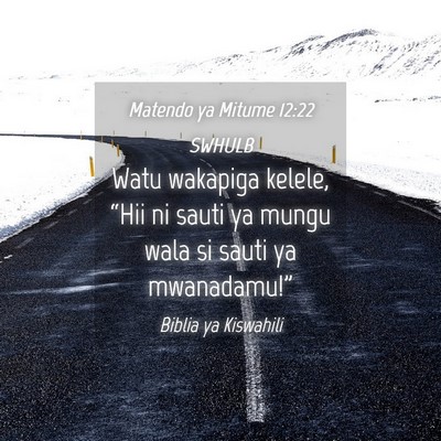 Picture 04 - Matendo ya Mitume 12:22 SWHULB - Watu wakapiga kelele, “Hii ni sauti ya mungu - Bible Verse Picture