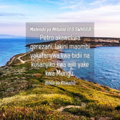 Picture 04 - Matendo ya Mitume 12:5 SWHULB - Petro akawekwa gerezani, lakini maombi yakafanywa - Bible Verse Picture