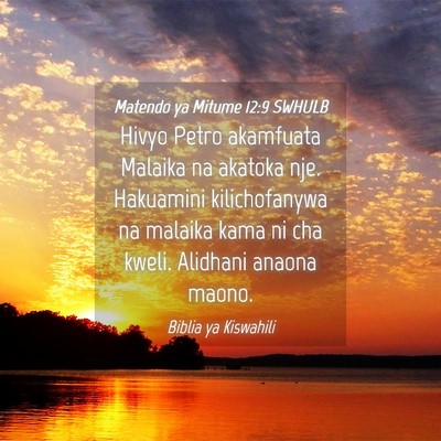 Picture 04 - Matendo ya Mitume 12:9 SWHULB - Hivyo Petro akamfuata Malaika na akatoka nje. - Bible Verse Picture