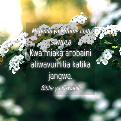 Picture 04 - Matendo ya Mitume 13:18 SWHULB - Kwa miaka arobaini aliwavumilia katika - Bible Verse Picture