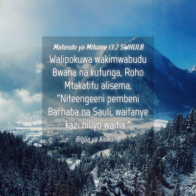 Picture 04 - Matendo ya Mitume 13:2 SWHULB - Walipokuwa wakimwabudu Bwana na kufunga, Roho - Bible Verse Picture