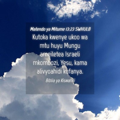 Picture 04 - Matendo ya Mitume 13:23 SWHULB - Kutoka kwenye ukoo wa mtu huyu Mungu ameiletea - Bible Verse Picture