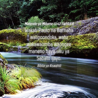 Picture 04 - Matendo ya Mitume 13:42 SWHULB - Wakati Paulo na Barnaba walipoondoka, watu - Bible Verse Picture