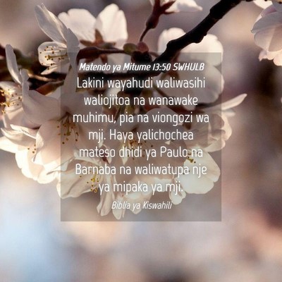 Picture 04 - Matendo ya Mitume 13:50 SWHULB - Lakini wayahudi waliwasihi waliojitoa na wanawake - Bible Verse Picture