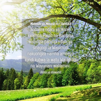 Picture 04 - Matendo ya Mitume 14:1 SWHULB - Ikatokea ndani ya Ikonio kwamba Paulo na Barnaba - Bible Verse Picture