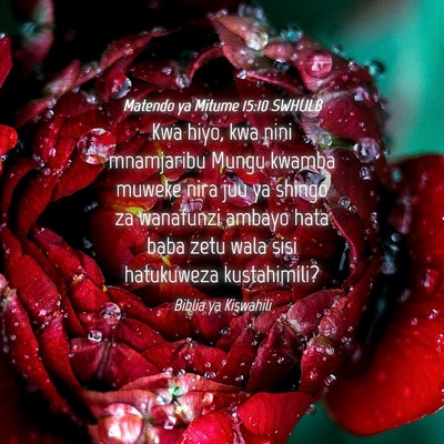 Picture 04 - Matendo ya Mitume 15:10 SWHULB - Kwa hiyo, kwa nini mnamjaribu Mungu kwamba muweke - Bible Verse Picture