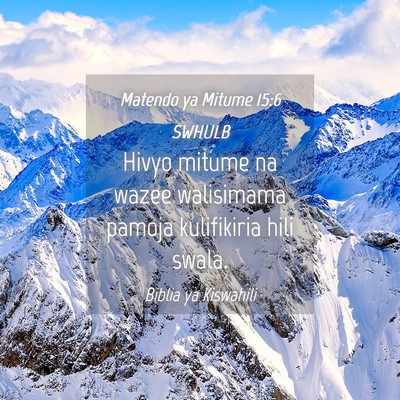 Picture 04 - Matendo ya Mitume 15:6 SWHULB - Hivyo mitume na wazee walisimama pamoja - Bible Verse Picture