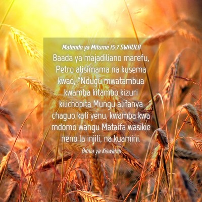 Picture 04 - Matendo ya Mitume 15:7 SWHULB - Baada ya majadiliano marefu, Petro alisimama na - Bible Verse Picture
