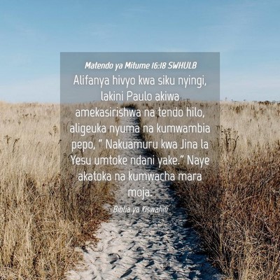 Picture 04 - Matendo ya Mitume 16:18 SWHULB - Alifanya hivyo kwa siku nyingi, lakini Paulo - Bible Verse Picture