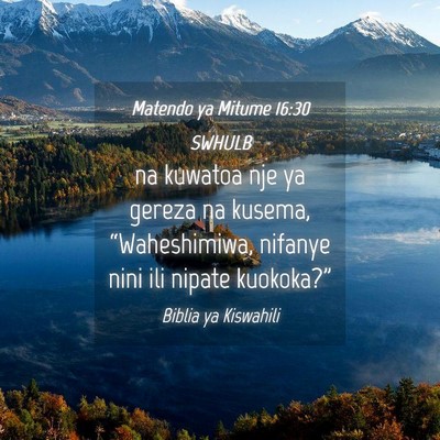 Picture 04 - Matendo ya Mitume 16:30 SWHULB - na kuwatoa nje ya gereza na kusema, - Bible Verse Picture