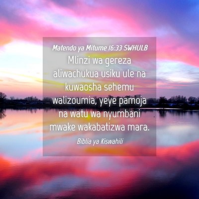 Picture 04 - Matendo ya Mitume 16:33 SWHULB - Mlinzi wa gereza aliwachukua usiku ule na - Bible Verse Picture