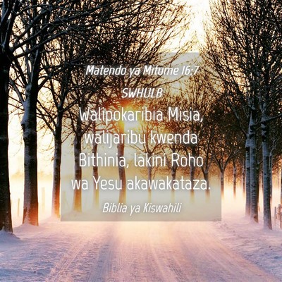 Picture 04 - Matendo ya Mitume 16:7 SWHULB - Walipokaribia Misia, walijaribu kwenda Bithinia, - Bible Verse Picture