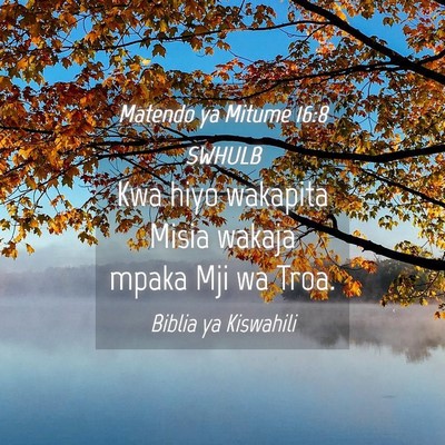 Picture 04 - Matendo ya Mitume 16:8 SWHULB - Kwa hiyo wakapita Misia wakaja mpaka Mji wa - Bible Verse Picture