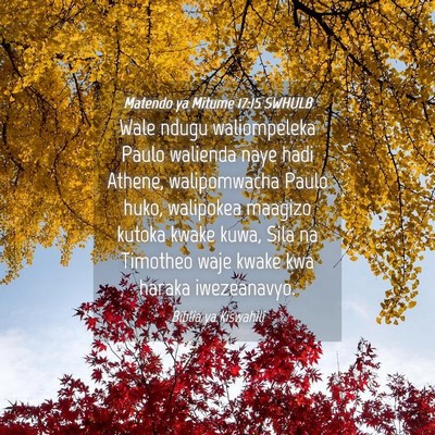 Picture 04 - Matendo ya Mitume 17:15 SWHULB - Wale ndugu waliompeleka Paulo walienda naye hadi - Bible Verse Picture