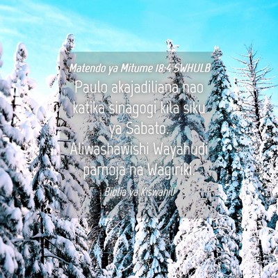 Picture 04 - Matendo ya Mitume 18:4 SWHULB - Paulo akajadiliana nao katika sinagogi kila siku - Bible Verse Picture