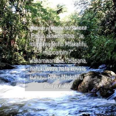 Picture 04 - Matendo ya Mitume 19:2 SWHULB - Paulo akawaambia, “Je, mlipokea Roho Mtakatifu - Bible Verse Picture