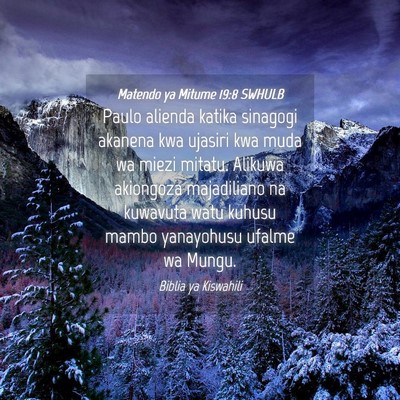 Picture 04 - Matendo ya Mitume 19:8 SWHULB - Paulo alienda katika sinagogi akanena kwa ujasiri - Bible Verse Picture