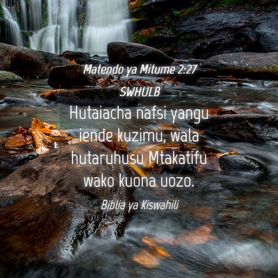 Picture 04 - Matendo ya Mitume 2:27 SWHULB - Hutaiacha nafsi yangu iende kuzimu, wala - Bible Verse Picture
