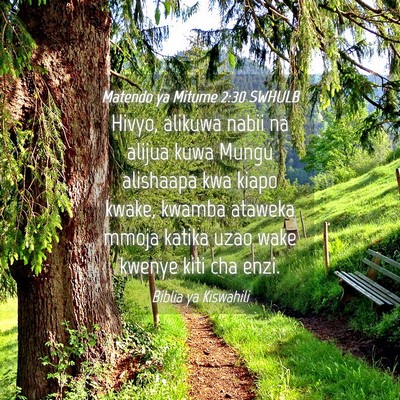 Picture 04 - Matendo ya Mitume 2:30 SWHULB - Hivyo, alikuwa nabii na alijua kuwa Mungu - Bible Verse Picture