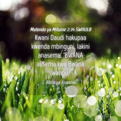 Picture 04 - Matendo ya Mitume 2:34 SWHULB - Kwani Daudi hakupaa kwenda mbinguni, lakini - Bible Verse Picture