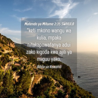 Picture 04 - Matendo ya Mitume 2:35 SWHULB - “keti mkono wangu wa kulia, mpaka - Bible Verse Picture