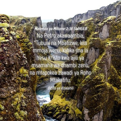 Picture 04 - Matendo ya Mitume 2:38 SWHULB - Na Petro akawaambia, “Tubuni na Mbatizwe, kila - Bible Verse Picture