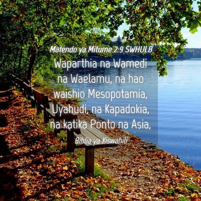 Picture 04 - Matendo ya Mitume 2:9 SWHULB - Waparthia na Wamedi na Waelamu, na hao waishio - Bible Verse Picture