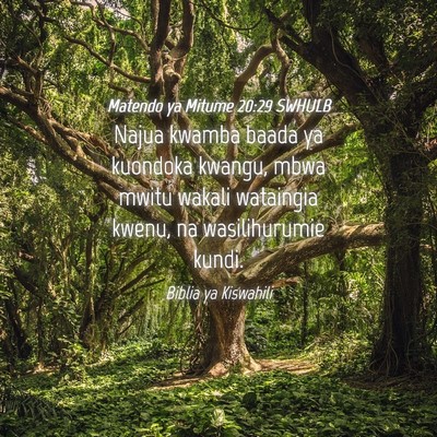Picture 04 - Matendo ya Mitume 20:29 SWHULB - Najua kwamba baada ya kuondoka kwangu, mbwa mwitu - Bible Verse Picture