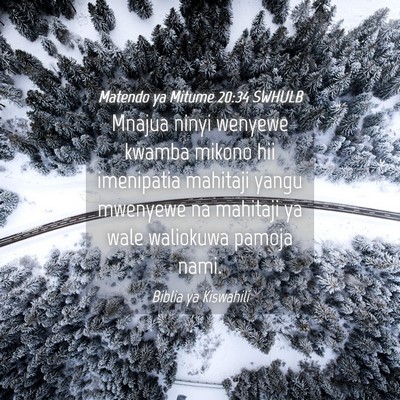 Picture 04 - Matendo ya Mitume 20:34 SWHULB - Mnajua ninyi wenyewe kwamba mikono hii imenipatia - Bible Verse Picture
