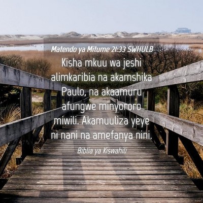 Picture 04 - Matendo ya Mitume 21:33 SWHULB - Kisha mkuu wa jeshi alimkaribia na akamshika - Bible Verse Picture