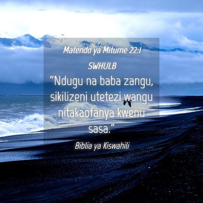 Picture 04 - Matendo ya Mitume 22:1 SWHULB - “Ndugu na baba zangu, sikilizeni utetezi wangu - Bible Verse Picture