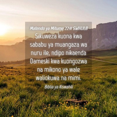 Picture 04 - Matendo ya Mitume 22:11 SWHULB - Sikuweza kuona kwa sababu ya muangaza wa nuru - Bible Verse Picture